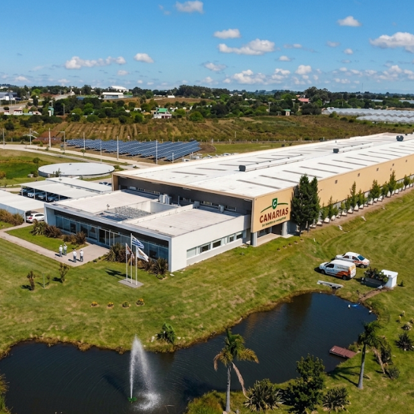 Instalaciones de la planta de Canarias